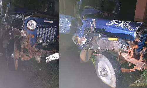 കൊല്ലത്ത് കാട്ടുപോത്ത് ആക്രമണം; സഞ്ചരിച്ചുകൊണ്ടിരുന്ന വാഹനത്തിലിടിച്ച് അഞ്ചുപേർക്ക് പരിക്ക്