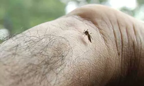 കോഴിക്കോട് ഡെങ്കിപനിയും മഞ്ഞപിത്തവും കൂടുന്നു; ജാഗ്രത പാലിക്കാന്‍ നിര്‍ദേശം