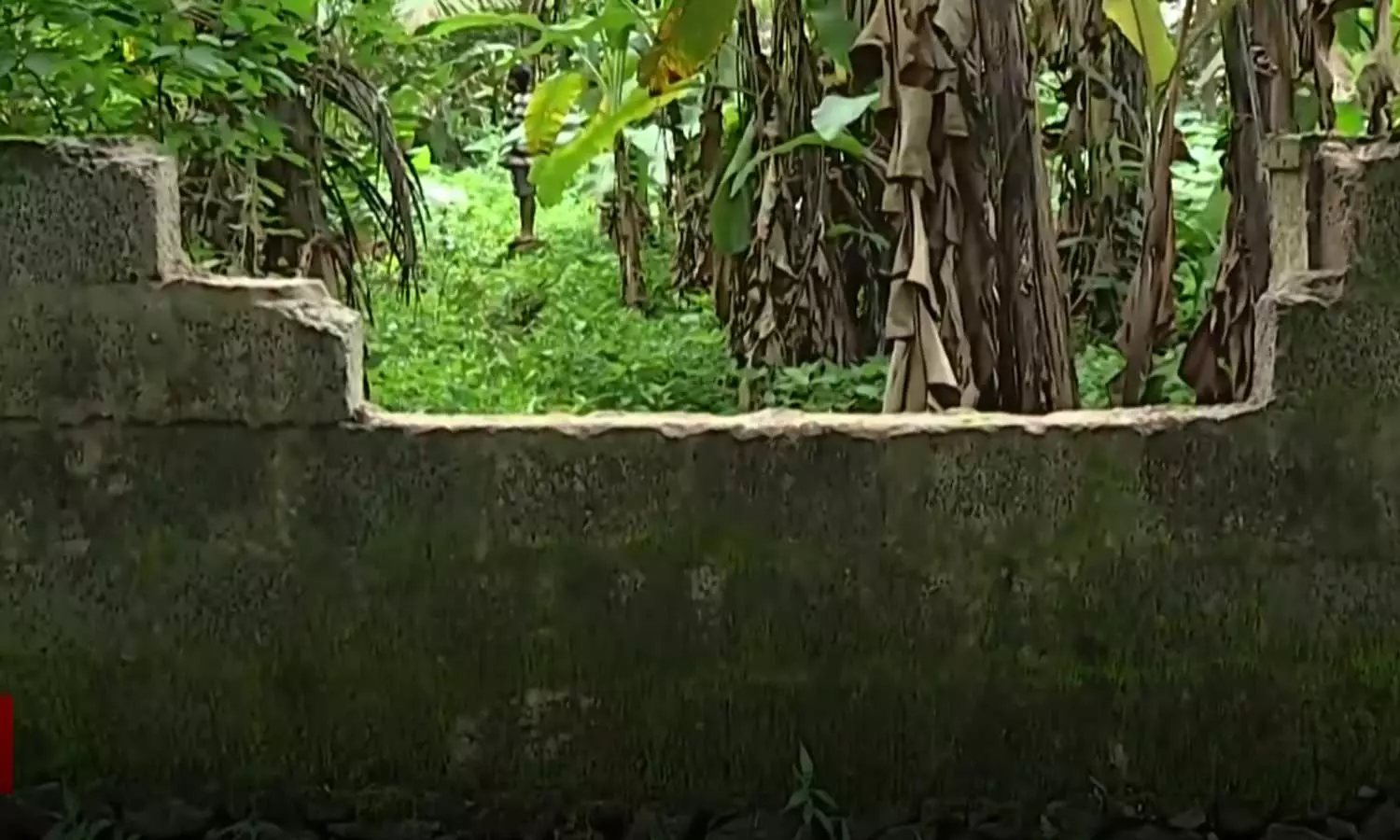 തുടർച്ചയായ അഞ്ചാം ദിവസവും തൃശൂർ ചേലക്കര ആറ്റൂരിൽ കാട്ടാനയിറങ്ങി തുടർച്ചയായ അഞ്ചാം ദിവസവും തൃശൂർ ചേലക്കര ആറ്റൂരിൽ കാട്ടാനയിറങ്ങി