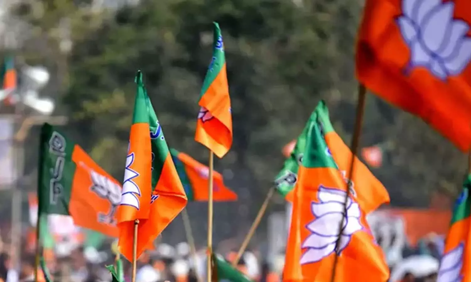 പാർട്ടി വിടുമെന്ന് സി.കെ പത്മനാഭന്റെ ഭീഷണി; കോർകമ്മിറ്റി പട്ടിക വീണ്ടും തിരുത്തി ബിജെപി