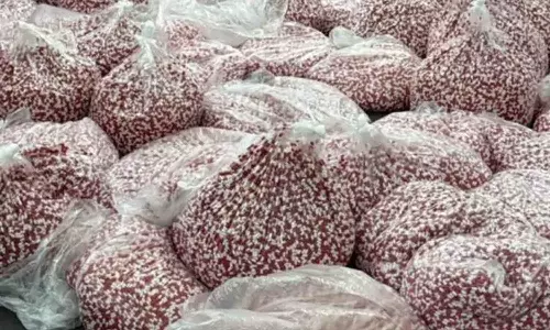 5.59 ദശലക്ഷം ലഹരി ഗുളികകൾ; കുവൈത്തിലേക്ക് കടത്താൻ ശ്രമിച്ച വൻ ലഹരിമരുന്ന് ശേഖരം പിടികൂടി കസ്റ്റംസ്