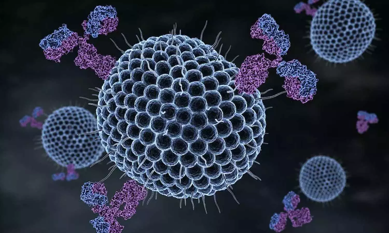 മലപ്പുറം ആതവനാട് ഗവ. ഹൈസ്കൂളിൽ ചിക്കൻ പോക്സ് വ്യാപനം; 57 കുട്ടികൾക്ക് രോഗം സ്ഥിരീകരിച്ചു