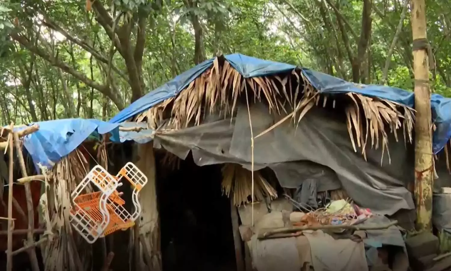 മിച്ചഭൂമി സംബന്ധിച്ച് റവന്യൂ-വനം വകുപ്പുകളുടെ സംയുക്ത പരിശോധന നടത്തും; മീഡിയവൺ ക്യാമ്പയിനിൽ സർക്കാർ ഇടപെടൽ മിച്ചഭൂമി സംബന്ധിച്ച് റവന്യൂ-വനം വകുപ്പുകളുടെ സംയുക്ത പരിശോധന നടത്തും; മീഡിയവൺ ക്യാമ്പയിനിൽ സർക്കാർ ഇടപെടൽ