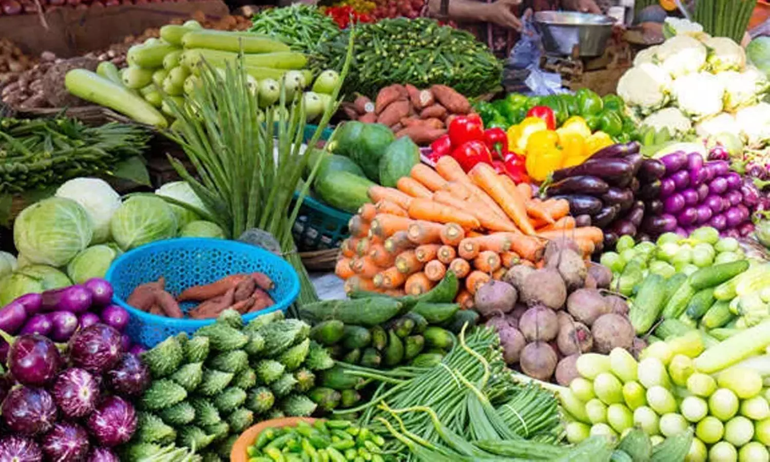 ഓണത്തിന് വിഷം കഴിക്കണോ? പച്ചക്കറികളിൽ മാരക കീടനാശിനിയെന്ന് കൃഷിവകുപ്പിന്റെ കണ്ടെത്തൽ