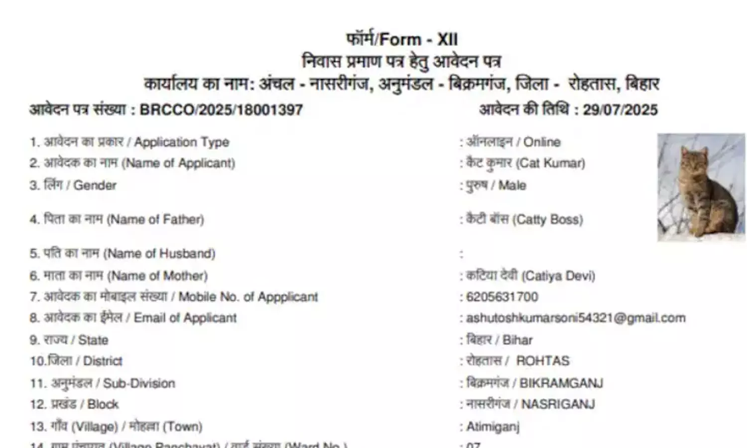 ഡോഗേഷ് ബാബുവിന് ശേഷം ക്യാറ്റി ദേവി; ഇത്തവണ ബിഹാറിൽ റെസിഡന്റ്സ് സർട്ടിഫിക്കറ്റിന് അപേക്ഷിച്ചിരിക്കുന്നത് ഒരു പൂച്ച ഡോഗേഷ് ബാബുവിന് ശേഷം ക്യാറ്റി ദേവി; ഇത്തവണ ബിഹാറിൽ റെസിഡന്റ്സ് സർട്ടിഫിക്കറ്റിന് അപേക്ഷിച്ചിരിക്കുന്നത് ഒരു പൂച്ച