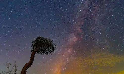 Perseid meteor shower in the sky of Oman on Tuesday night