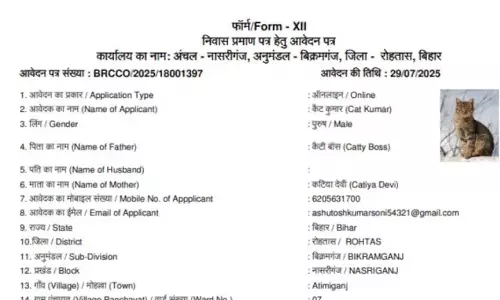ഡോഗേഷ് ബാബുവിന് ശേഷം ക്യാറ്റി ദേവി; ഇത്തവണ ബിഹാറിൽ റെസിഡന്റ്‌സ് സർട്ടിഫിക്കറ്റിന് അപേക്ഷിച്ചിരിക്കുന്നത് ഒരു പൂച്ച