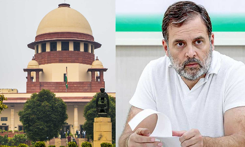 തുടച്ചുനീക്കപ്പെടേണ്ടവയല്ല ഈ മിണ്ടാപ്രാണികൾ, ബദൽ മാർഗങ്ങളുണ്ട്; തെരുവുനായ വിഷയത്തിൽ രാഹുൽ ഗാന്ധി