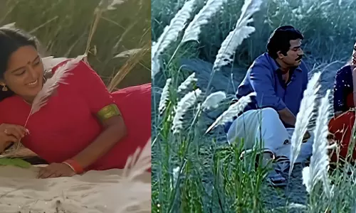 മമ്മൂട്ടിക്കും മഞ്ജു വാര്യര്‍ക്കൊപ്പം നിറഞ്ഞു നിന്ന സസ്യ ശാസ്ത്ര ലോകത്തെ സൂപ്പര്‍സ്റ്റാര്‍; അറിയാമോ സക്കാറം സ്പോണ്ടേനിയത്തെക്കുറിച്ച്