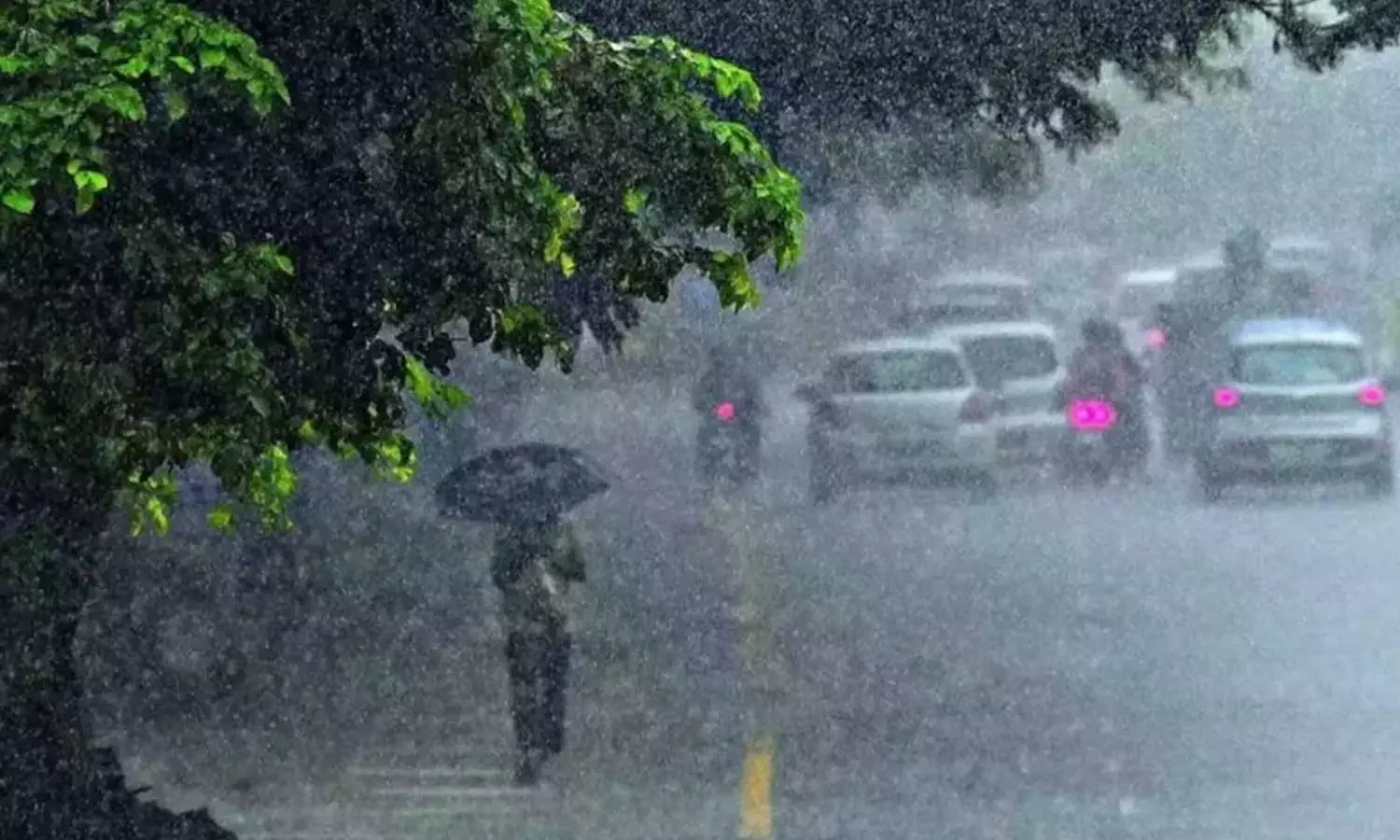 സംസ്ഥാനത്ത് ഒറ്റപ്പെട്ട അതിശക്തമായ മഴയ്ക്ക് സാധ്യത; ഒൻപത് ജില്ലകളിൽ യെല്ലോ അലർട്ട് സംസ്ഥാനത്ത് ഒറ്റപ്പെട്ട അതിശക്തമായ മഴയ്ക്ക് സാധ്യത; ഒൻപത് ജില്ലകളിൽ യെല്ലോ അലർട്ട്