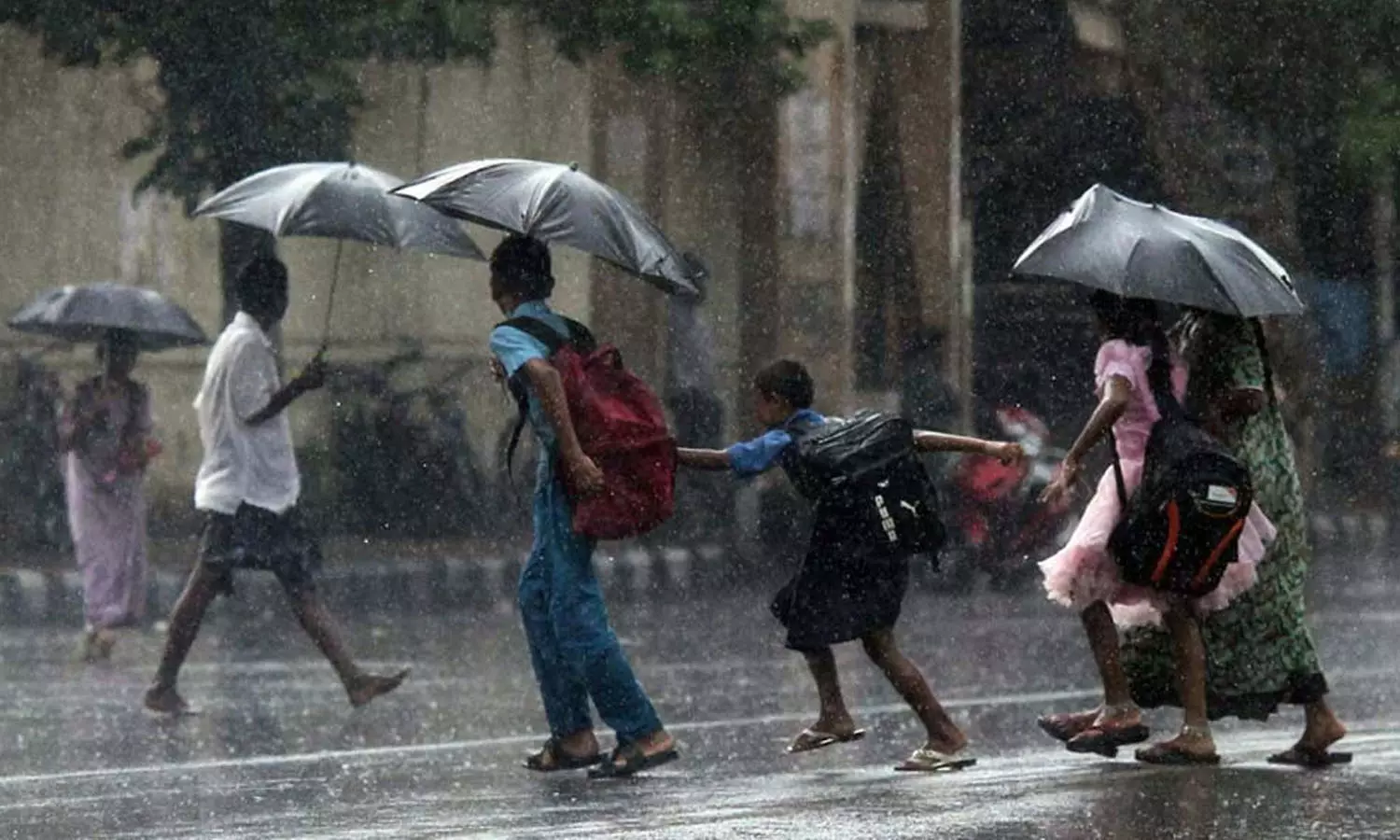 കനത്ത മഴ; പാലക്കാട് ജില്ലയിലെ വിദ്യാഭ്യാസ സ്ഥാപനങ്ങൾക്ക് നാളെ അവധി കനത്ത മഴ; പാലക്കാട് ജില്ലയിലെ വിദ്യാഭ്യാസ സ്ഥാപനങ്ങൾക്ക് നാളെ അവധി