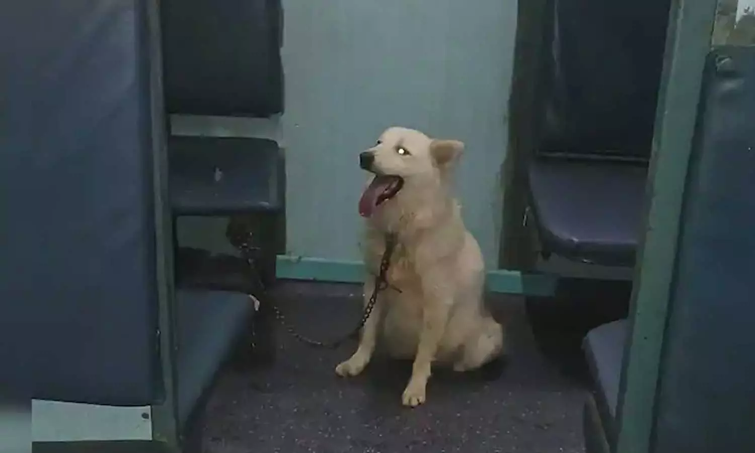 സ്ലീപ്പര്‍ കോച്ചില്‍ നായയെ കെട്ടിയിട്ടു; ട്രെയിന്‍ വൈകിയത് ഒരുമണിക്കൂറിലധികം