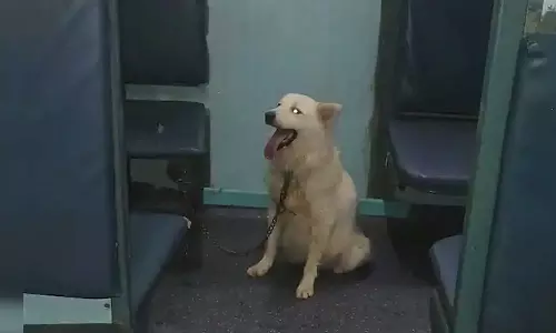 സ്ലീപ്പര്‍ കോച്ചില്‍ നായയെ കെട്ടിയിട്ടു; ട്രെയിന്‍ വൈകിയത് ഒരുമണിക്കൂറിലധികം