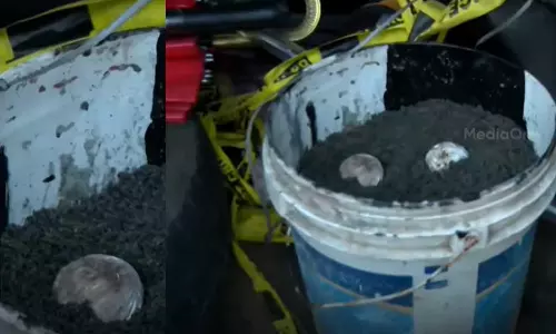 പാലക്കാട് സ്‌കൂള്‍ വളപ്പില്‍ നിന്നും ലഭിച്ച സ്‌ഫോടക വസ്തു പൊട്ടിത്തെറിച്ചു; 10 വയസുകാരന് പരിക്ക്