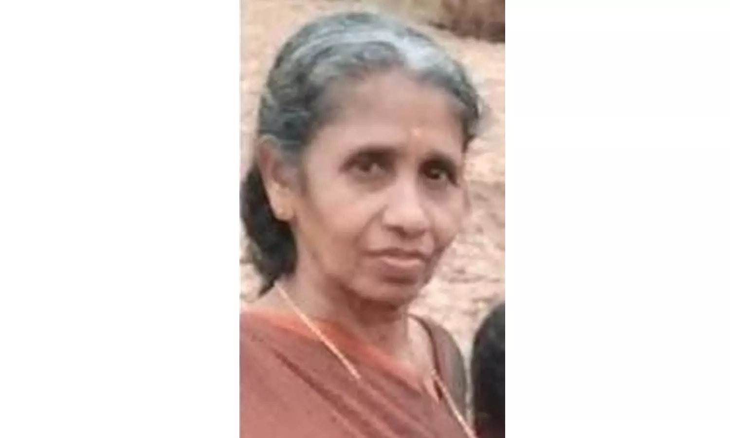 മലപ്പുറം ഒതായിയിൽ കാട്ടാനയുടെ ആക്രമണത്തിൽ വയോധിക കൊല്ലപ്പെട്ടു