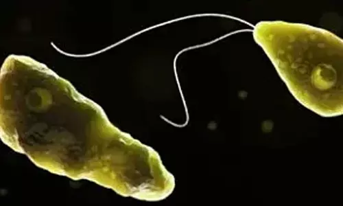 സംസ്ഥാനത്ത് ഒരാൾക്ക് കൂടി അമീബിക് മസ്തിഷ്‌കജ്വരം സ്ഥിരീകരിച്ചു