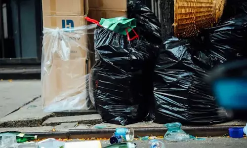 പാഴ്സല്‍ ബോക്സിലെ കാമുകിയുടെ അഡ്രസ് പാരയായി;  മാലിന്യം ഉപേക്ഷിച്ച യുവാവിനെ കയ്യോടെ പൊക്കി അധികൃതര്‍,1000 രൂപ പിഴയും