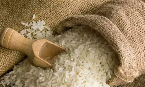 സൗദിയിൽ അരി വില കുറഞ്ഞു