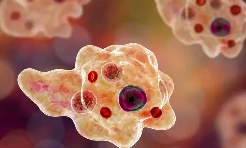 ആശങ്കയേറ്റി വീണ്ടും അമീബിക് മസ്തിഷ്‌ക ജ്വരം: സുൽത്താൻ ബത്തേരി സ്വദേശിക്ക് രോഗം സ്ഥിരീകരിച്ചു