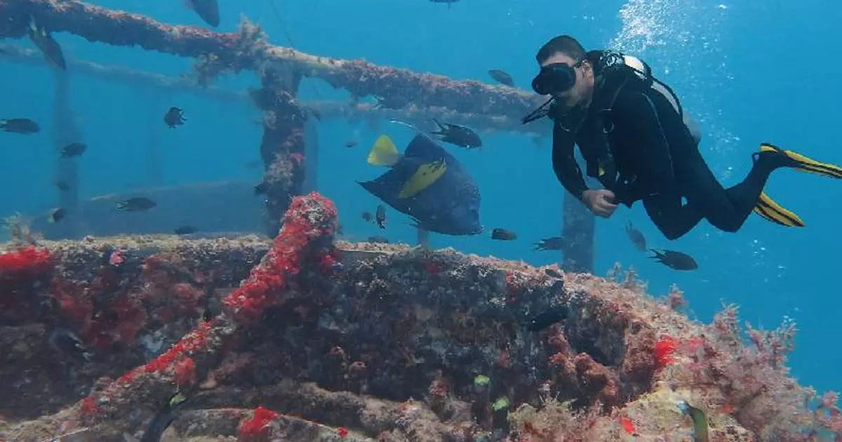 First Musandam International Diving Festival begins today