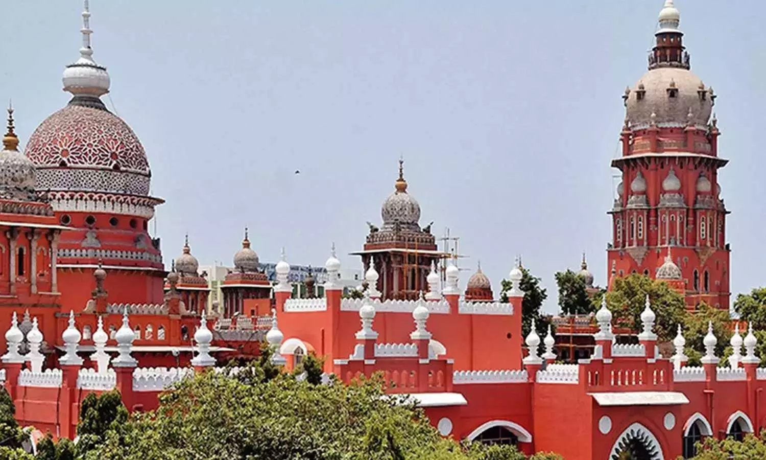 ജീവന്‍ രക്ഷിക്കാനുള്ള ശ്രമത്തിനിടെ വാനിടിച്ച് മരിച്ചത് മൂന്നുപേര്‍; മലയാളിയുടെ തടവുശിക്ഷ ഒഴിവാക്കി മദ്രാസ് ഹൈക്കോടതി