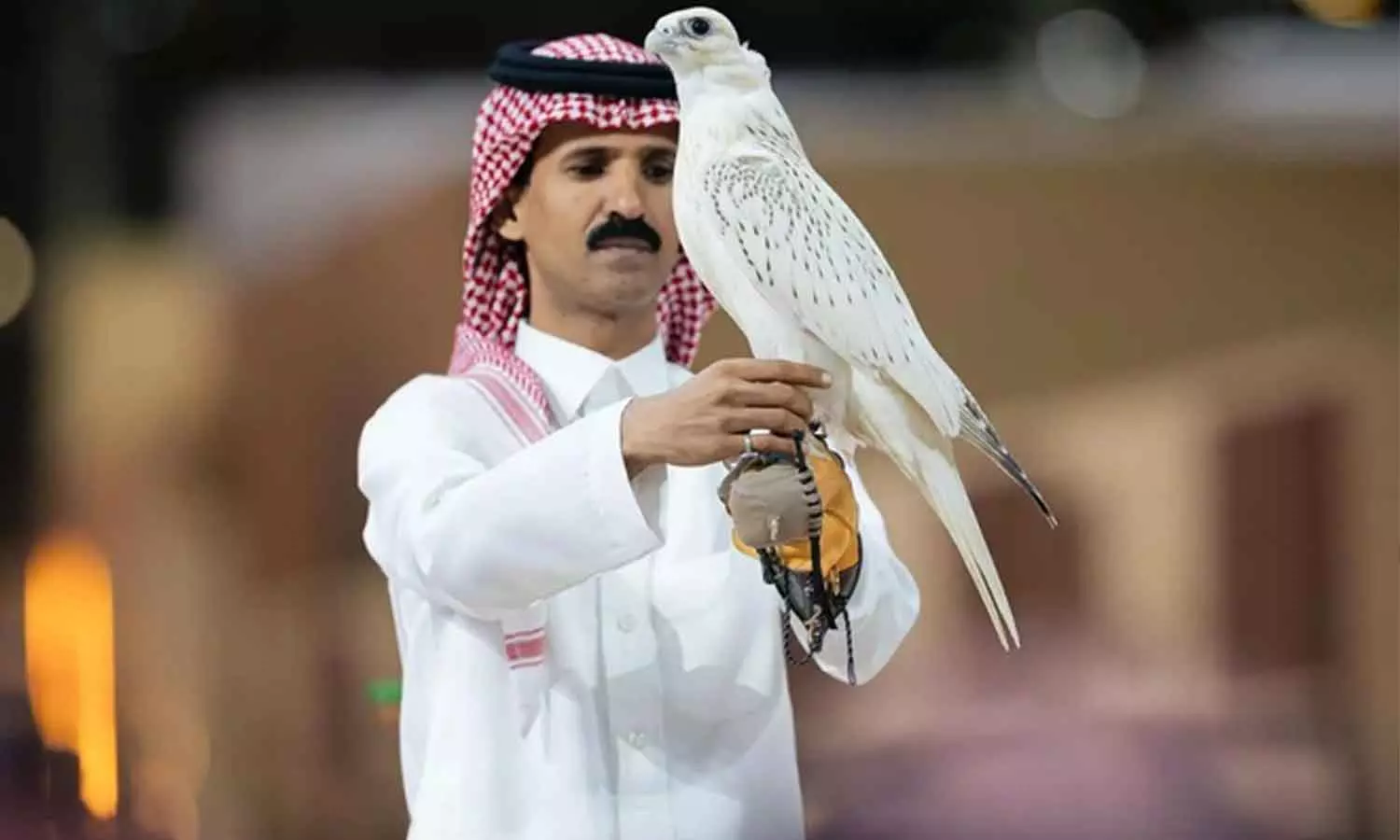 അന്താരാഷ്ട്ര ഫാൽക്കൺ മേള: സൗദിയിൽ അപൂർവയിനം ഫാൽക്കൺ വിറ്റത് 12 ലക്ഷം റിയാലിന് അന്താരാഷ്ട്ര ഫാൽക്കൺ മേള: സൗദിയിൽ അപൂർവയിനം ഫാൽക്കൺ വിറ്റത് 12 ലക്ഷം റിയാലിന്