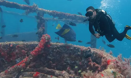 First Musandam International Diving Festival begins today
