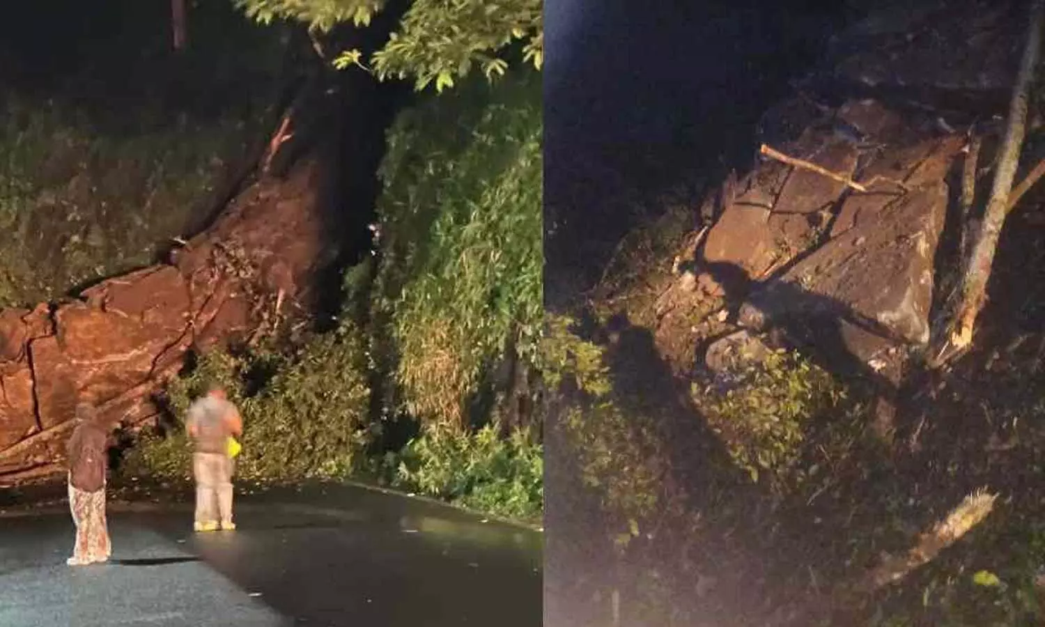 മണ്ണിടിച്ചില്: താമരശ്ശേരി ചുരം വഴിയുള്ള ഗതാഗതം താത്കാലികമായി നിരോധിച്ചു മണ്ണിടിച്ചില്: താമരശ്ശേരി ചുരം വഴിയുള്ള ഗതാഗതം താത്കാലികമായി നിരോധിച്ചു