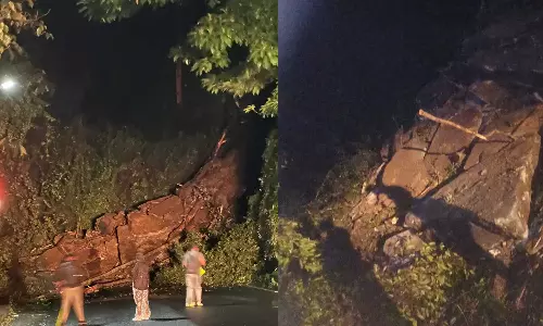 താമരശ്ശേരി ചുരത്തില്‍ മണ്ണിടിച്ചില്‍; കാല്‍നടയാത്രക്കാര്‍ക്കടക്കം യാത്ര വിലക്ക്