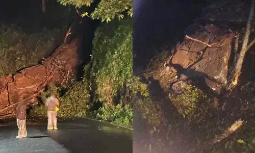 മണ്ണിടിച്ചില്‍: താമരശ്ശേരി ചുരം വഴിയുള്ള ഗതാഗതം താത്കാലികമായി നിരോധിച്ചു