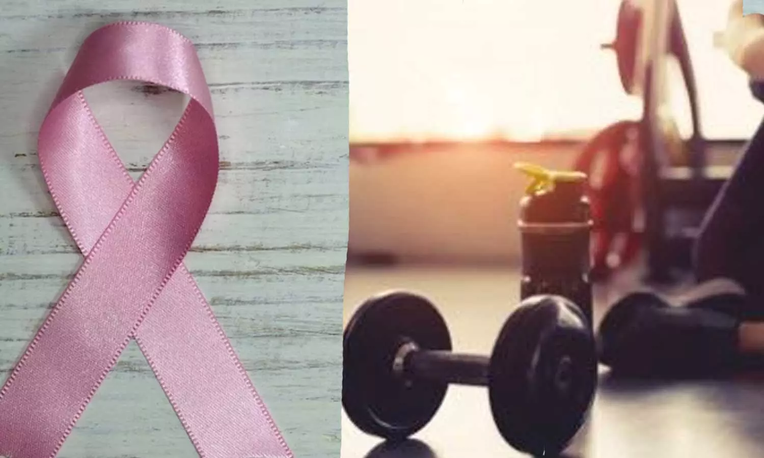 ദിവസവും 30 മിനിറ്റ് വ്യായാമം ചെയ്യുന്നത് കാൻസർ കോശങ്ങളുടെ വളര്ച്ച 30 % കുറക്കാന് സഹായിക്കുമെന്ന് പഠനം ദിവസവും 30 മിനിറ്റ് വ്യായാമം ചെയ്യുന്നത് കാൻസർ കോശങ്ങളുടെ വളര്ച്ച 30 % കുറക്കാന് സഹായിക്കുമെന്ന് പഠനം