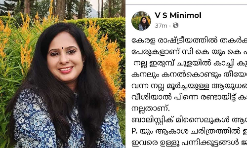 രാഷ്ട്രീയത്തില്‍ തകര്‍ക്കാന്‍ പറ്റാത്ത രണ്ടുപേരുകളാണ് സി.കൃഷ്ണകുമാറും കെ.സുരേന്ദ്രനും ; പീഡന പരാതിയില്‍ ഭീഷണി പോസ്റ്റുമായി കൃഷ്ണകുമാറിന്റെ ഭാര്യ