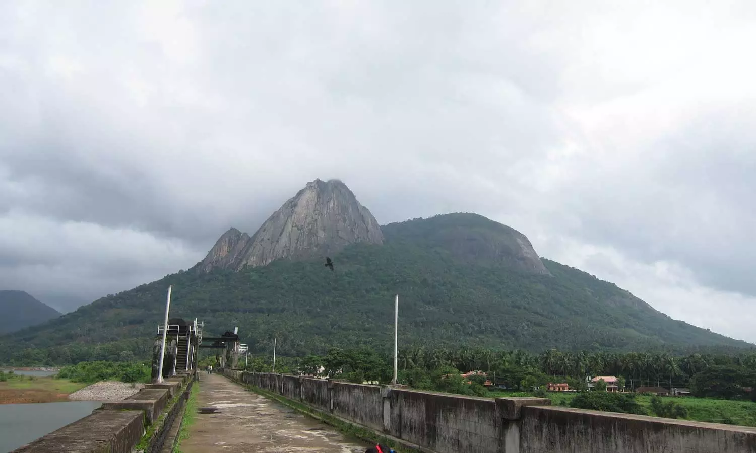 സർക്കാറിന് കൂടുതൽ ലാഭം വാഗ്ദാനം ചെയ്ത കമ്പനികളെ ഒഴിവാക്കി എഫ്എസ്ഐടിക്ക് കരാര് നല്കി; പാലക്കാട് കാഞ്ഞിരപ്പുഴ ഡാം ടൂറിസം പദ്ധതിയില് അഴിമതി ആരോപണം സർക്കാറിന് കൂടുതൽ ലാഭം വാഗ്ദാനം ചെയ്ത കമ്പനികളെ ഒഴിവാക്കി എഫ്എസ്ഐടിക്ക് കരാര് നല്കി; പാലക്കാട് കാഞ്ഞിരപ്പുഴ ഡാം ടൂറിസം പദ്ധതിയില് അഴിമതി ആരോപണം