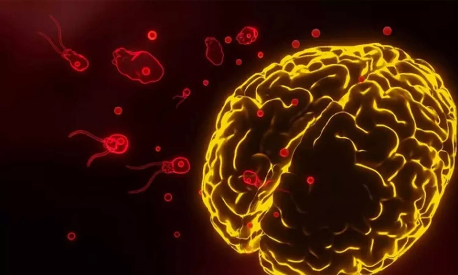 സംസ്ഥാനത്ത് അമീബിക് മസ്തിഷ്ക ജ്വരം ബാധിച്ച് രണ്ട് മരണം; മൂന്ന് മാസം പ്രായമുള്ള കുഞ്ഞും 52കാരിയും മരിച്ചു സംസ്ഥാനത്ത് അമീബിക് മസ്തിഷ്ക ജ്വരം ബാധിച്ച് രണ്ട് മരണം; മൂന്ന് മാസം പ്രായമുള്ള കുഞ്ഞും 52കാരിയും മരിച്ചു