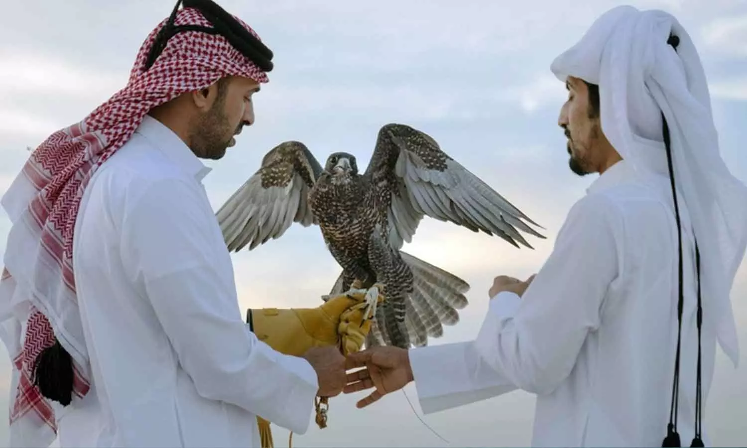 ഖത്തറിൽ പക്ഷിവേട്ട സീസണിന് തുടക്കം; ഫെബ്രുവരി 15 വരെ അനുവദിക്കും