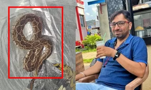 ചെരിപ്പിനുള്ളിൽ പതിയിരുന്ന പാമ്പിന്റെ കടിയേറ്റ് ബംഗളൂരു ടെക്കി മരിച്ചു ചെരിപ്പിനുള്ളിൽ പതിയിരുന്ന പാമ്പിന്റെ കടിയേറ്റ് ബംഗളൂരു ടെക്കി മരിച്ചു