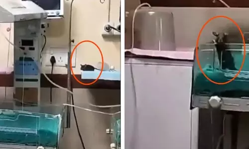 ഇൻഡോറിലെ സര്‍ക്കാര്‍ ആശുപത്രിയിൽ ഐസിയുവിലായിരുന്ന രണ്ട് നവജാത ശിശുക്കളെ എലി കടിച്ചു; അന്വേഷണത്തിന് ഉത്തരവ്