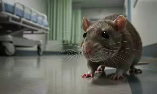 എൻഐസിയുവിൽ എലിയുടെ കടിയേറ്റ നവജാതശിശുക്കളിൽ ഒരാൾ മരിച്ചു; ഇൻഡോർ സർക്കാർ ആശുപത്രിയിലെ നഴ്‌സുമാർക്ക് സസ്‌പെൻഷൻ, അന്വേഷണത്തിന് ഉത്തരവ്