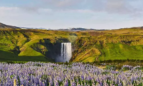 ഈ വർഷത്തെ ഏറ്റവും സമാധാനപരമായ 10 രാജ്യങ്ങൾ ഇവയാണ്; അറിയാം ഇന്ത്യയുടെ സ്ഥാനം