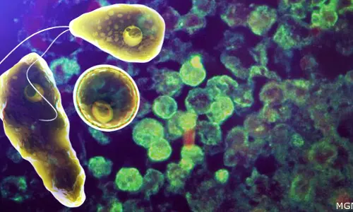 മലപ്പുറത്ത്  പത്ത് വയസുകാരന് അമീബിക് മസ്തിഷ്ക ജ്വരം