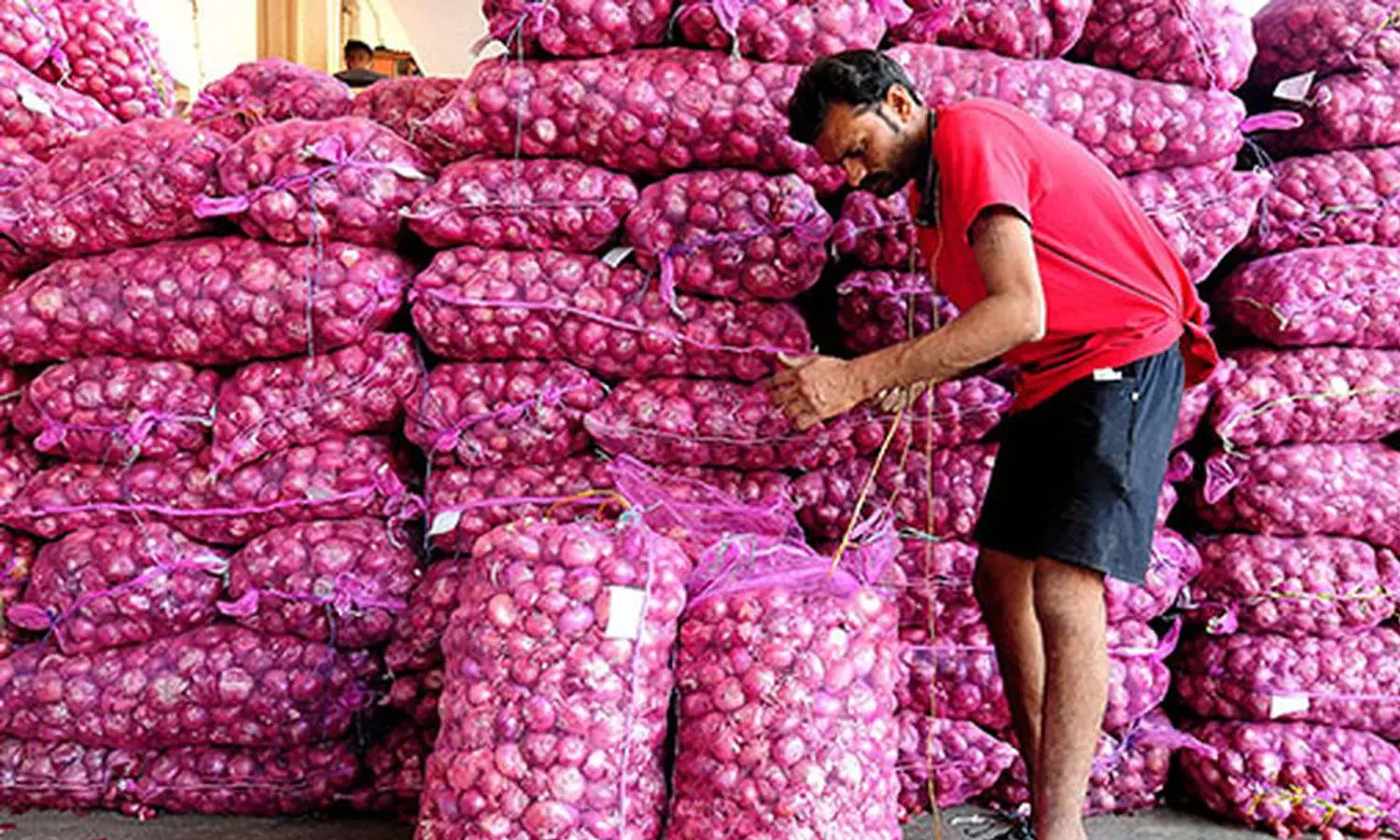 ഇന്ത്യയിൽ ഉള്ളി പൂർണമായും നിരോധിച്ച ഒരേയൊരു നഗരം; കാരണമറിയാം