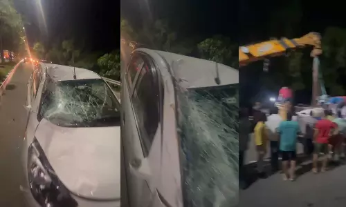 കൊച്ചിയിൽ അശ്രദ്ധമായി കുതിര സവാരി; കാറിൽ തട്ടി പരിക്കേറ്റ കുതിര ചത്തു; ഉടമയ്‌ക്കെതിരെ കേസ്