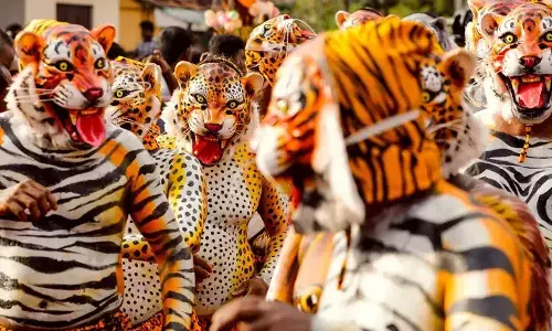 തൃശൂരിൽ ഇന്ന് പുലികളിറങ്ങും!; മടവിട്ട് പുറത്തിറങ്ങുക ഒമ്പത് സംഘങ്ങൾ
