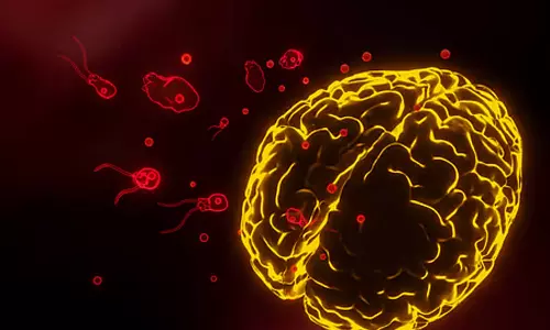 ഒമ്പത്‌ മാസത്തിനിടെ മരിച്ചത് 17 പേർ; സംസ്ഥാനത്ത് അമീബിക് മസ്തിഷ്ക ജ്വരം ബാധിക്കുന്നവരുടെ എണ്ണത്തിൽ വൻ വർധന