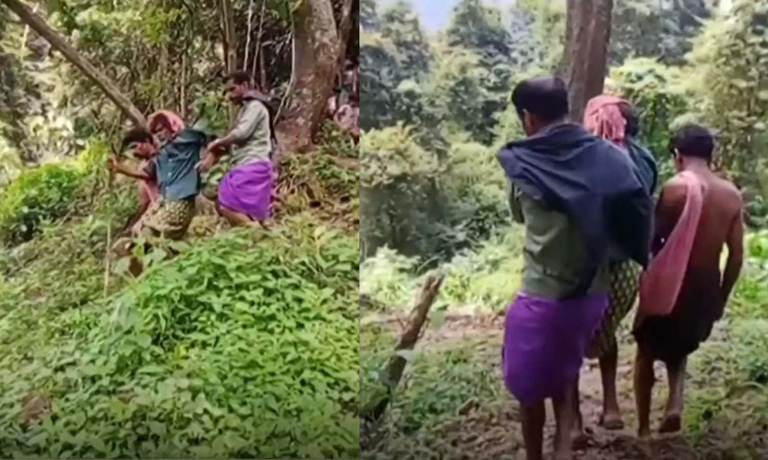 വയോധികനെ ആശുപത്രിയിലെത്തിച്ചത് ആറുകിലോമീറ്ററോളം ചുമന്ന്; ഇടമലക്കുടിയിലെ യാത്രാ ദുരിതത്തിന് ഇനിയും പരിഹാരമായില്ല