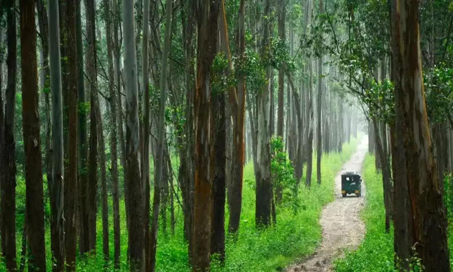 വന്യജീവി വാരാഘോഷം: ഒക്ടോബര് 02 മുതല് 08 വരെ പ്രവേശനം സൗജന്യം വന്യജീവി വാരാഘോഷം: ഒക്ടോബര് 02 മുതല് 08 വരെ പ്രവേശനം സൗജന്യം