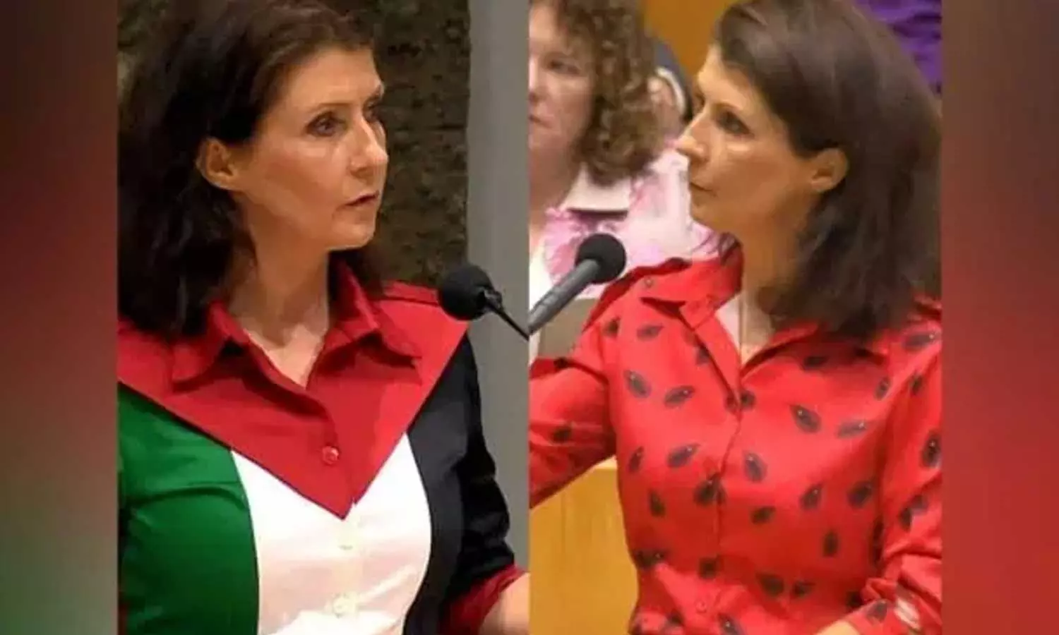 ഫലസ്തീൻ പതാക ധരിച്ചെത്തിയതിന് പാർലമെന്റിൽ നിന്നും പുറത്താക്കി; ഡച്ച് എംപി തിരിച്ചെത്തിയത് തണ്ണിമത്തൻ ടോപ്പുമായി,വീഡിയോ