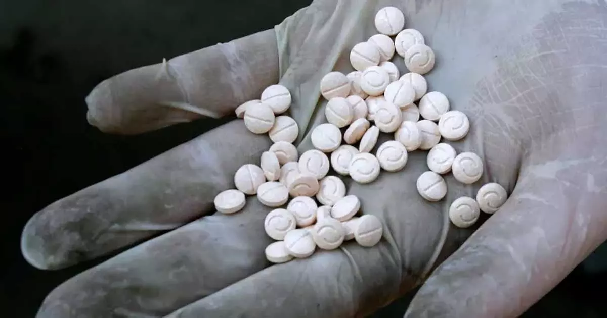 സൗദിയിൽ രണ്ടര ലക്ഷത്തിലധികം ക്യാപ്റ്റഗൺ ഗുളികകൾ പിടികൂടി സൗദിയിൽ രണ്ടര ലക്ഷത്തിലധികം ക്യാപ്റ്റഗൺ ഗുളികകൾ പിടികൂടി