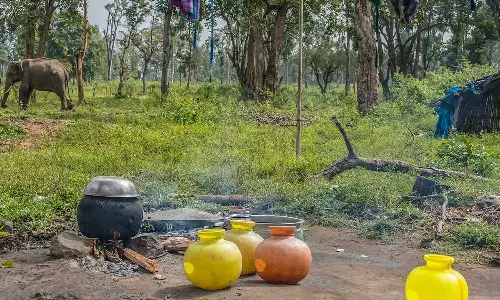 വനവാസികളില്ലാത്ത വനങ്ങൾ