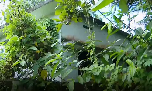 ഉദ്ഘാടനം കഴിഞ്ഞ് 10 വർഷം; പ്രവർത്തനമാരംഭിക്കാതെ പെരുമണ്ണ ഗവ.ആയുർവേദ ആശുപത്രി